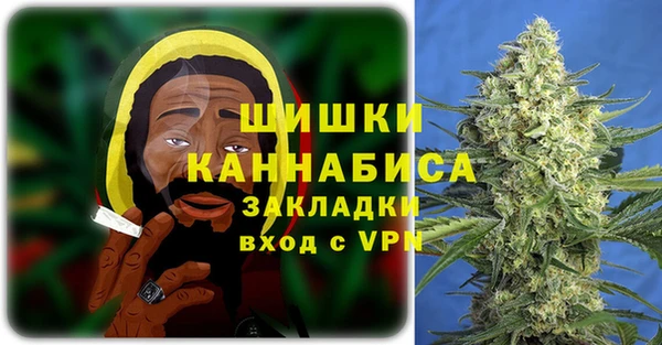 стафф Ростов
