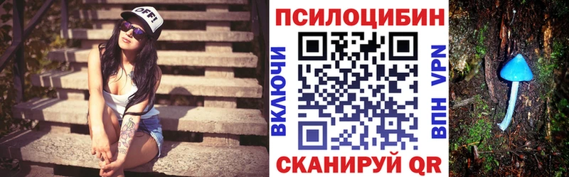 Псилоцибиновые грибы мухоморы  наркошоп  Богданович 