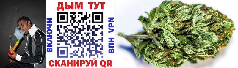 Конопля OG Kush Богданович